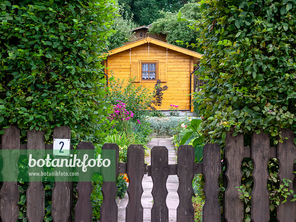 463039 - Abri de jardin en bois dans un jardin familial