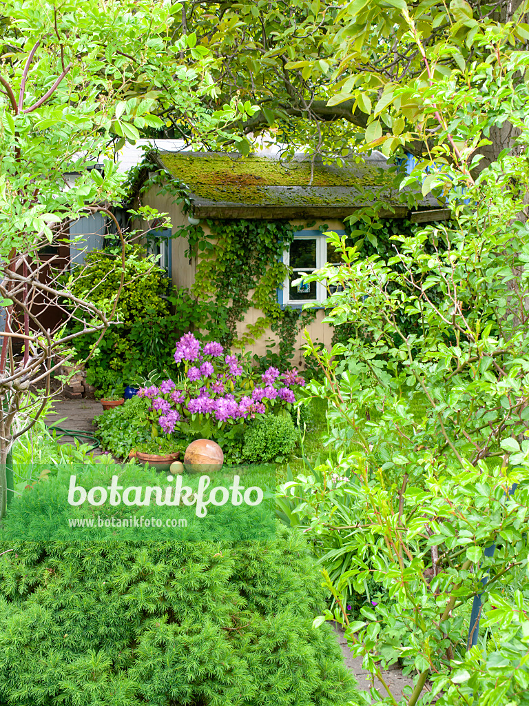 484361 - Abri de jardin verte dans un jardin familial