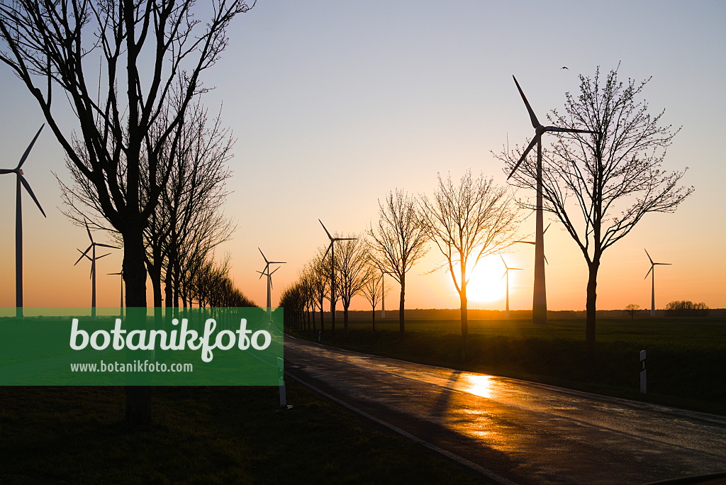 672050 - Allee mit Windrädern bei Sonnenuntergang