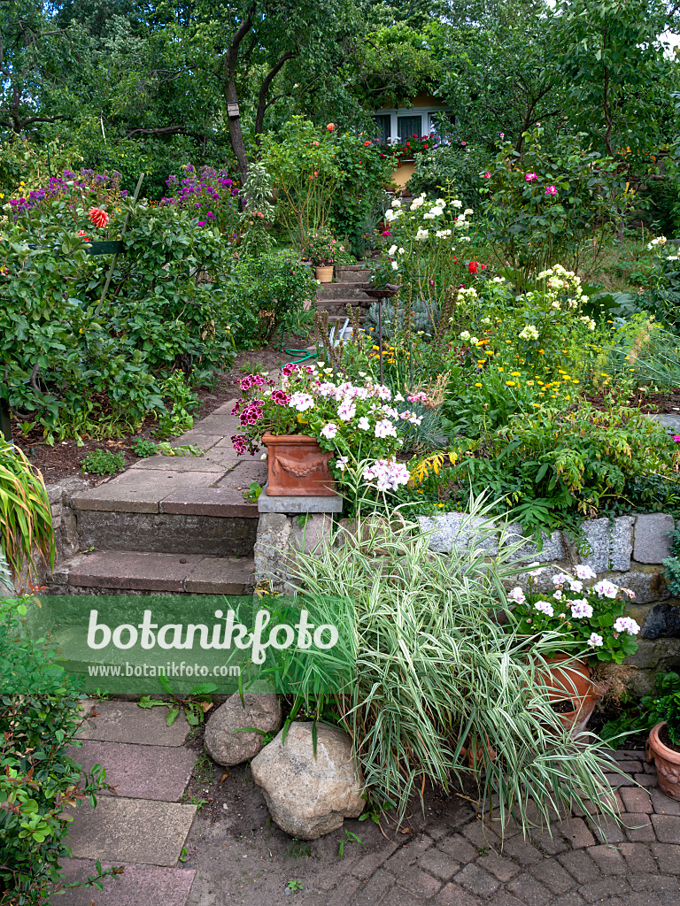 463040 - Allotment garden