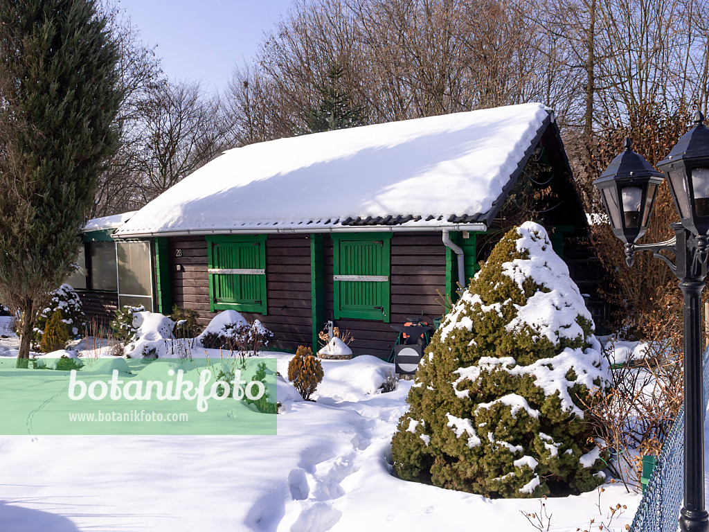 483009 - Allotment garden in winter