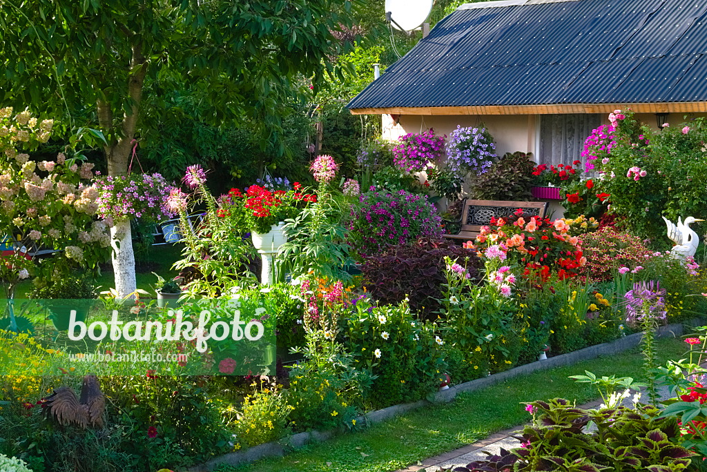 670018 - Allotment garden with summer flowers