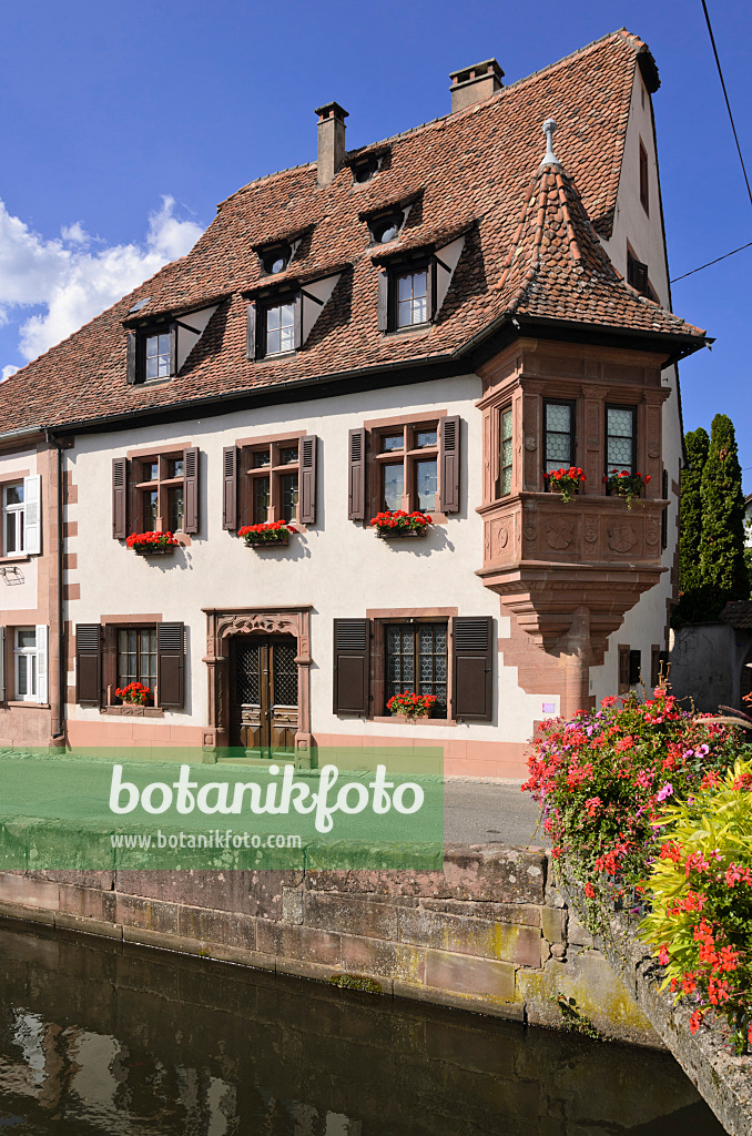 548078 - Ami Fritz House, Wissembourg, France