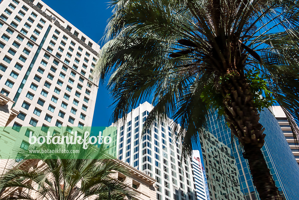 455033 - Anzac Square, Brisbane, Australia
