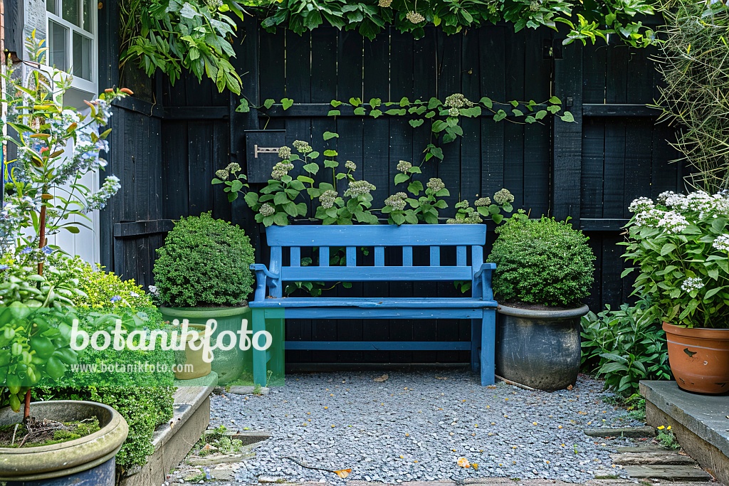 667061 - Banc bleu dans un jardin néerlandais avec des plantes en pot