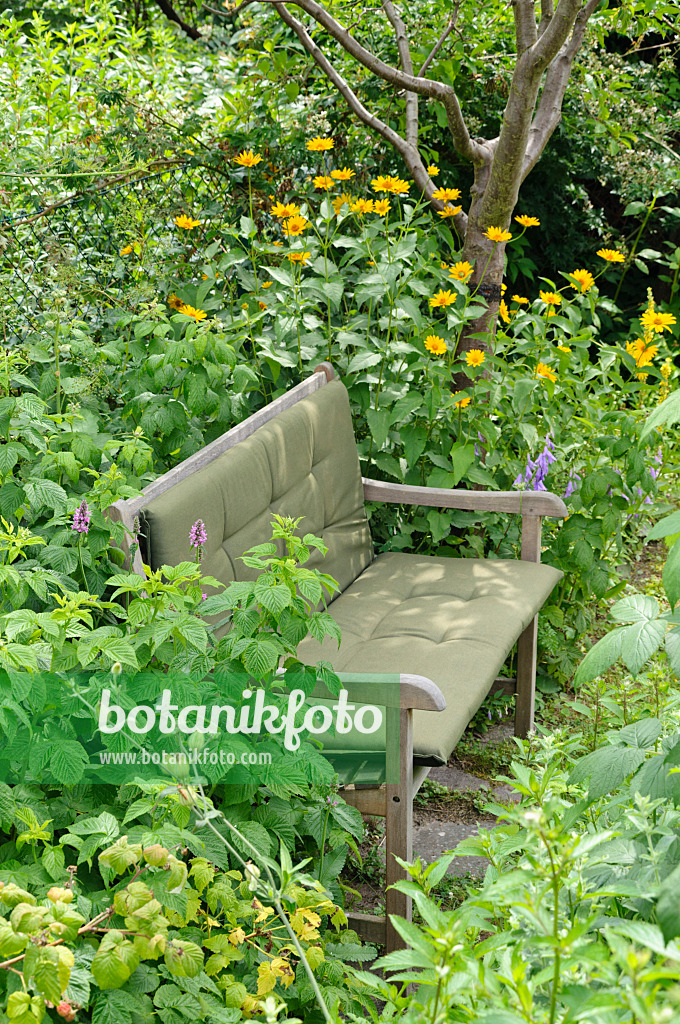 474130 - Banc en bois dans un jardin naturel