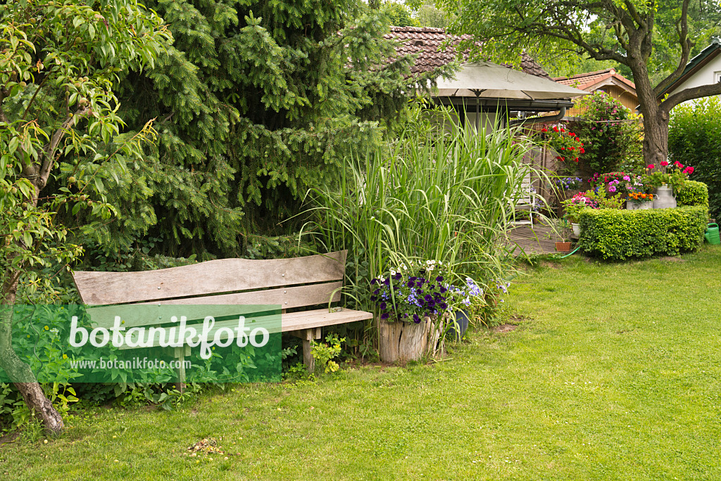 545180 - Banc en bois et abri de jardin dans un jardin familial
