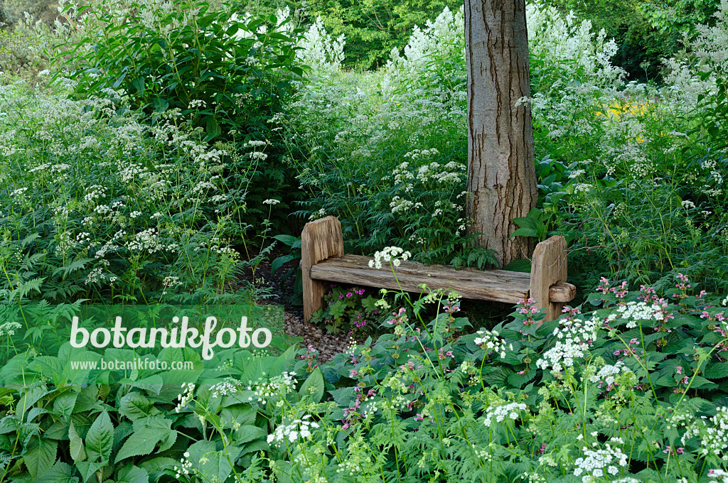 472324 - Banc simple dans un jardin de plantes vivaces