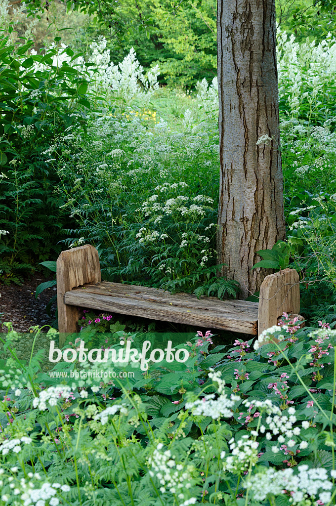 472325 - Banc simple dans un jardin de plantes vivaces