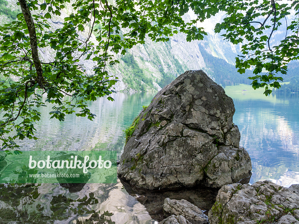 439156 - Blocs erratiques au Obersee, parc national de Berchtesgaden, Allemagne