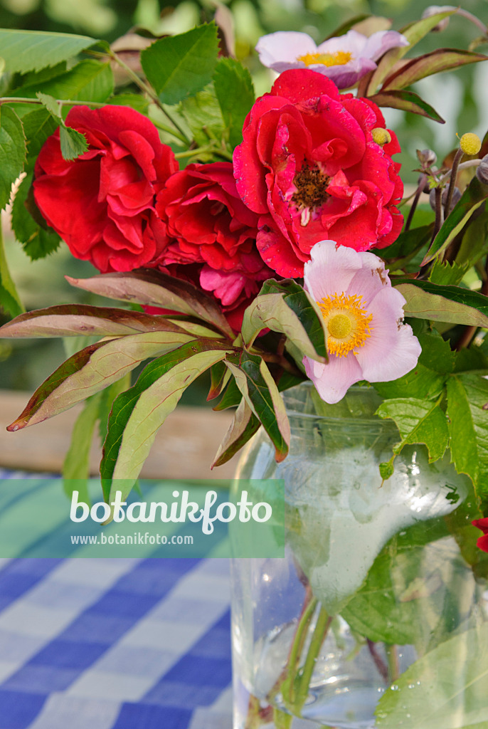 475053 - Bouquet de roses dans un bocal