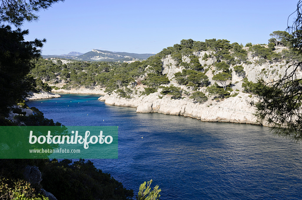 533199 - Calanque de Port-Pin, parc national des Calanques, France