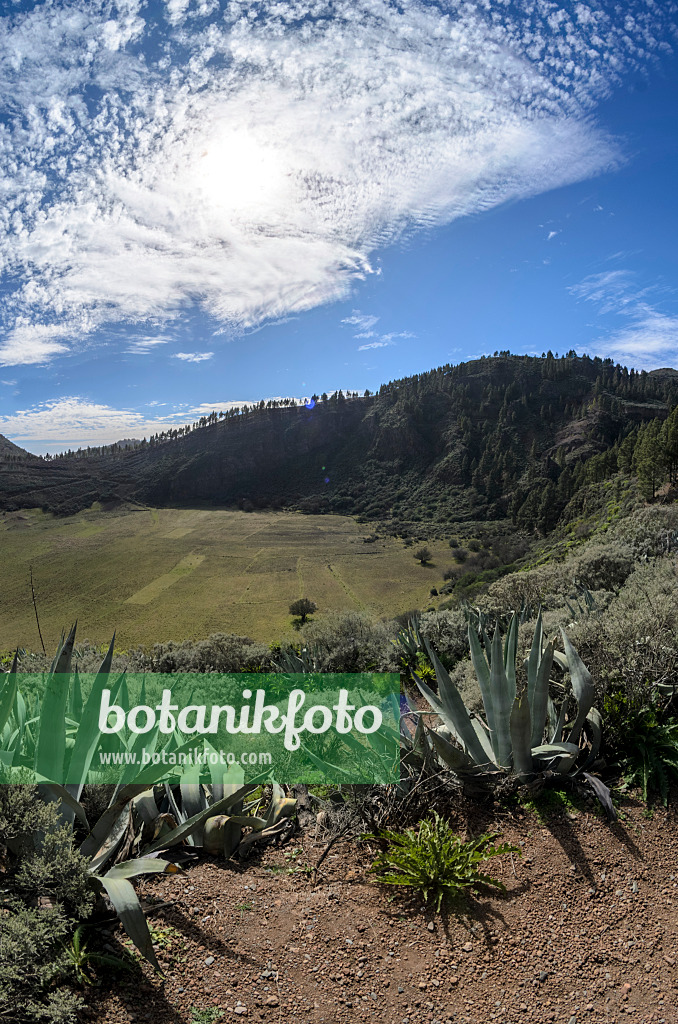 564177 - Caldera de Los Marteles, Gran Canaria, Espagne