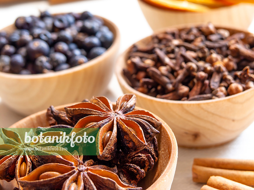 444078 - Chinese star anise (Illicium verum), clove (Syzygium aromaticum) and common juniper (Juniperus communis)