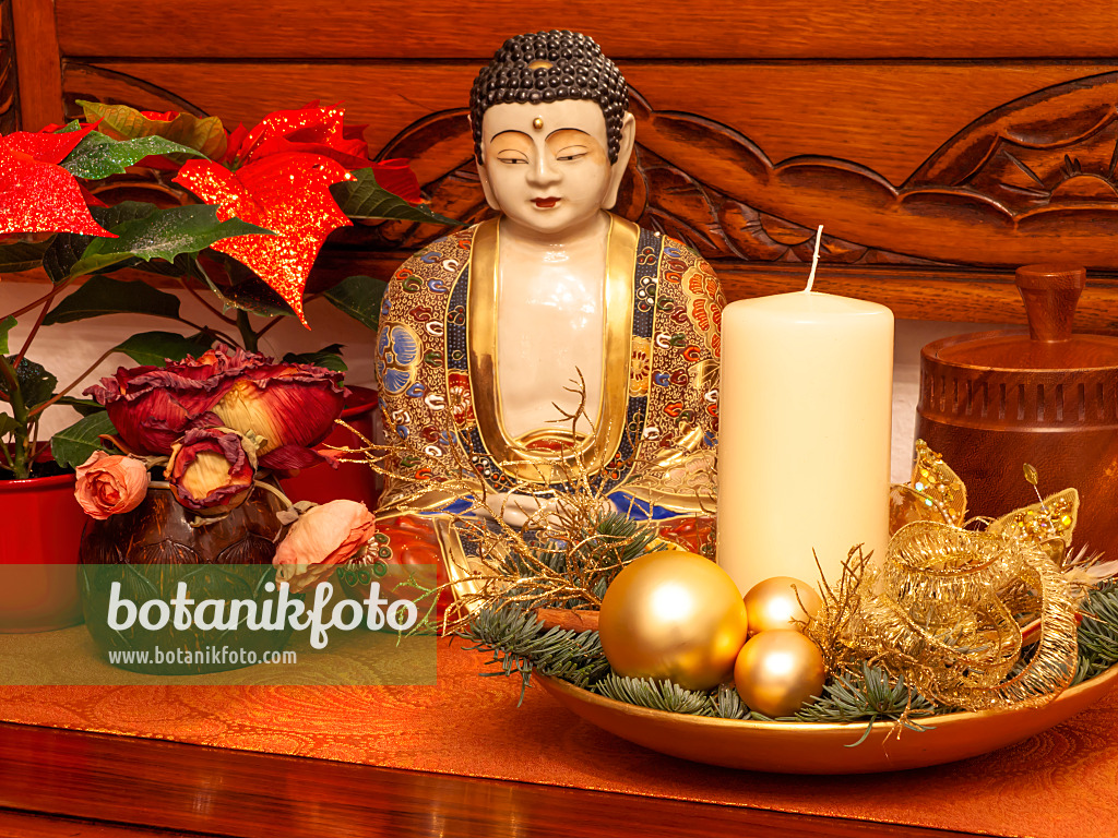 444014 - Christmas arrangement with Buddha