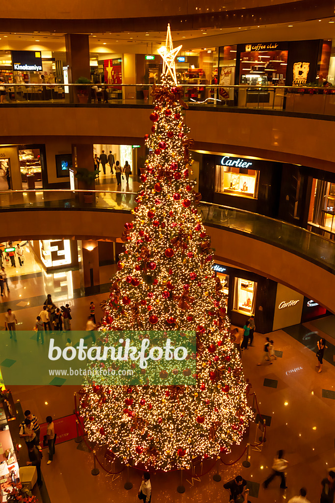 454130 - Christmas tree in a shopping centre, Singapore