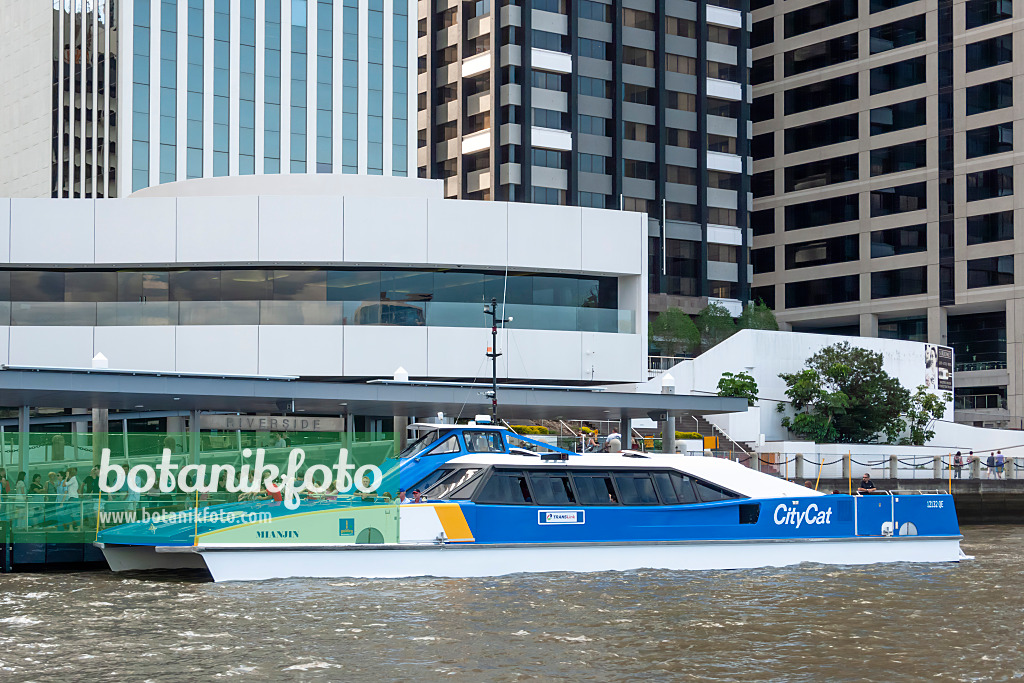 455119 - CityCat-Fähre auf dem Brisbane River, Brisbane, Australien