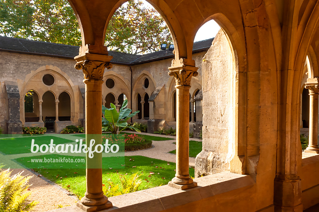 453130 - Cloître de la Collégiale, Neuchâtel, Suisse