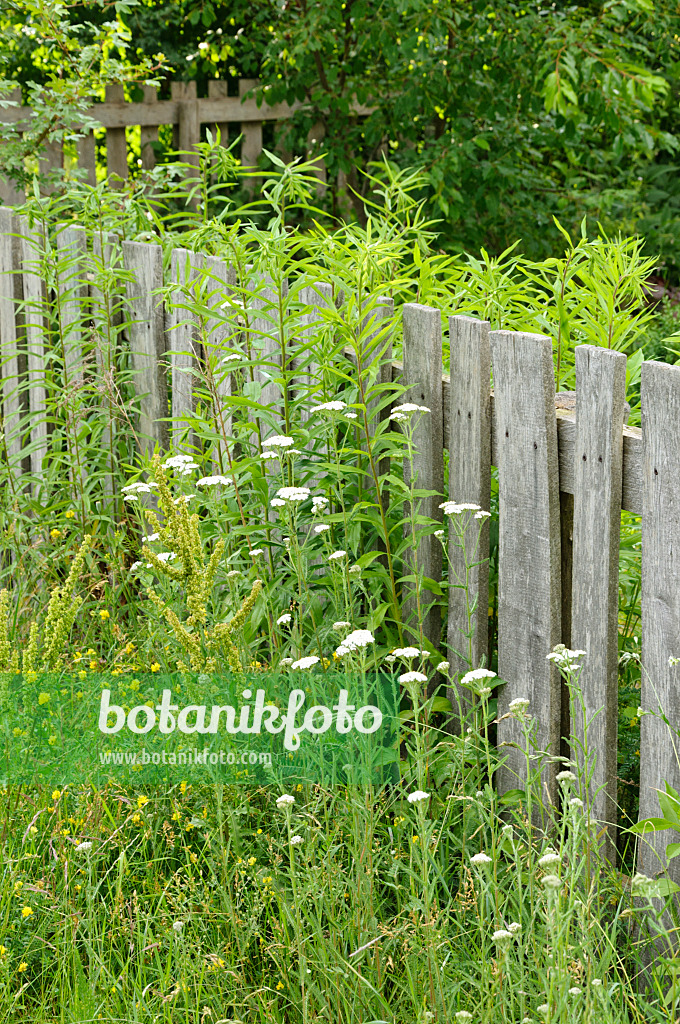 473296 - Clôture de jardin en bois