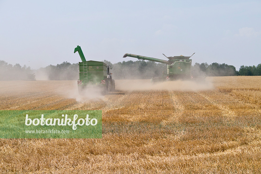 558351 - Combine harvesters on a grainfield