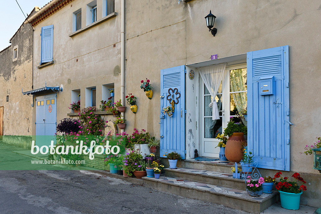 557237 - Container garden, Arles, France