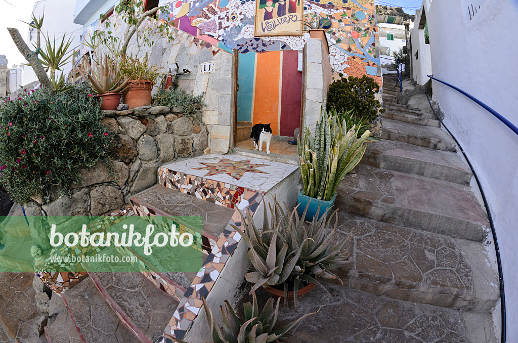 564117 - Container garden in a lane, Puerto de Mogán, Gran Canaria, Spain