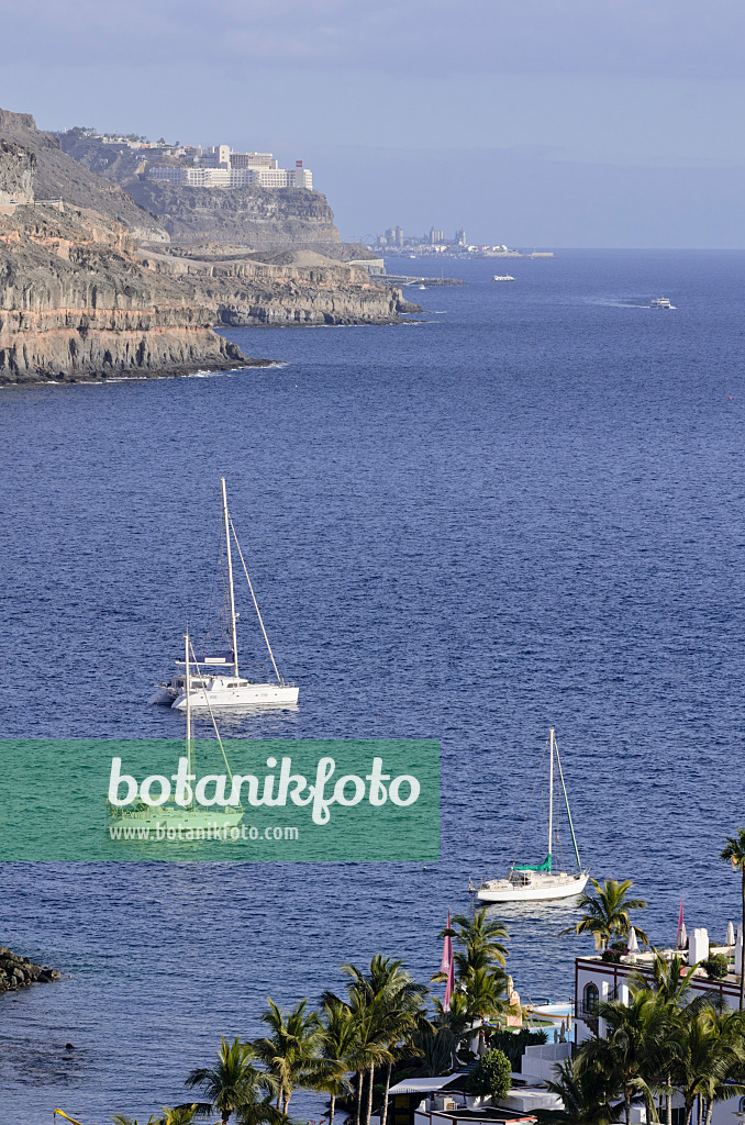564123 - Côte chez Puerto de Mogán, Gran Canaria, Espagne