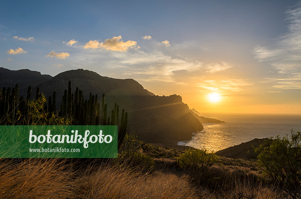 564221 - Côte occidentale au coucher de soleil, Gran Canaria, Espagne