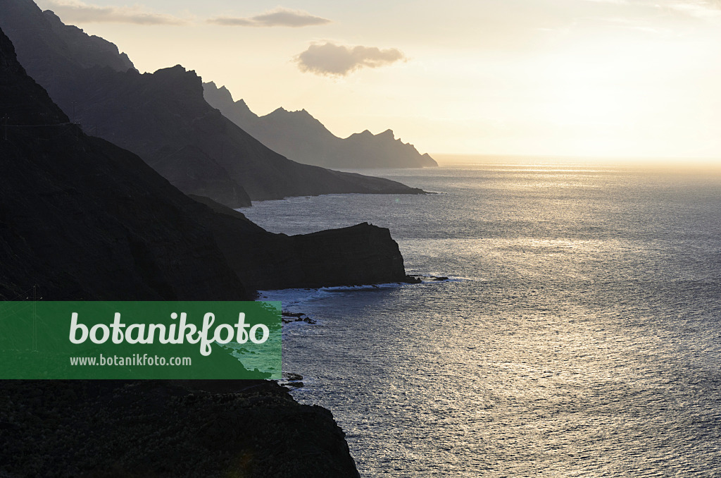 564214 - Côte occidentale, Gran Canaria, Espagne