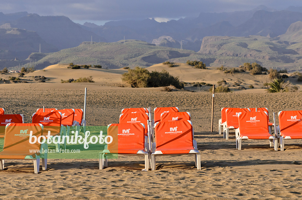 564231 - Deck chairs on the beach, Maspalomas, Gran Canaria, Spain