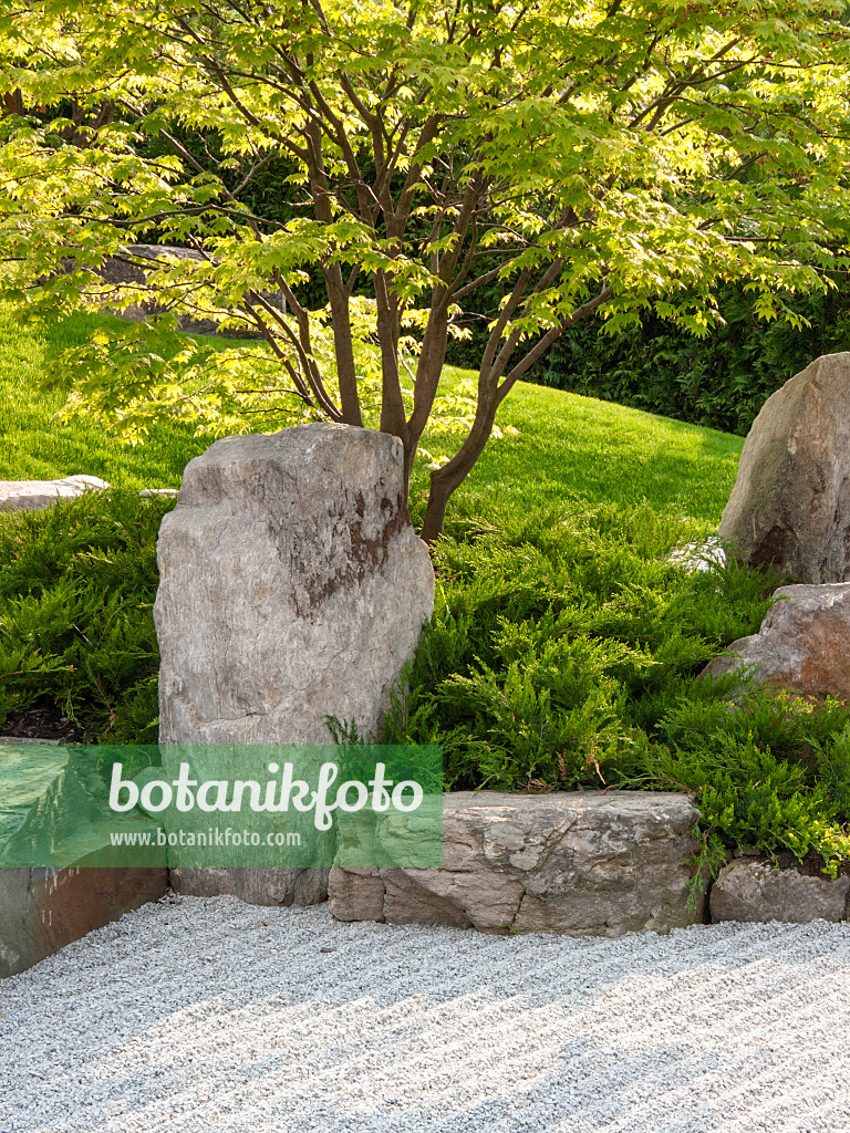 401213 - Dry landscape garden, Japanese Garden, Erholungspark Marzahn, Berlin, Germany