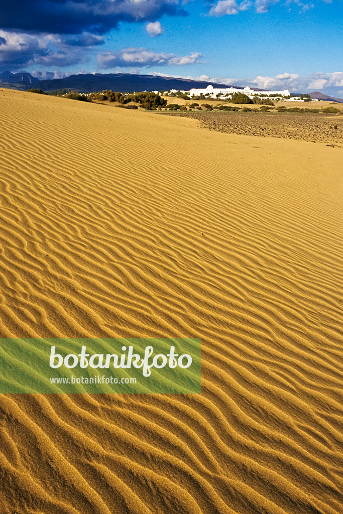 397041 - Dunes mouvantes, Maspalomas, Gran Canaria, Espagne