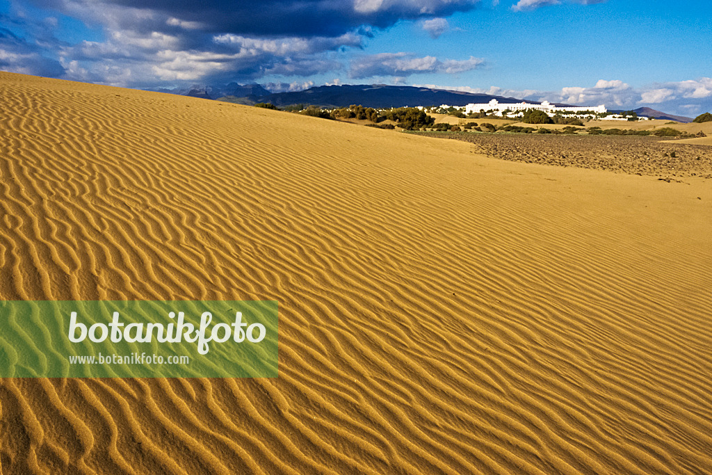 397042 - Dunes mouvantes, Maspalomas, Gran Canaria, Espagne
