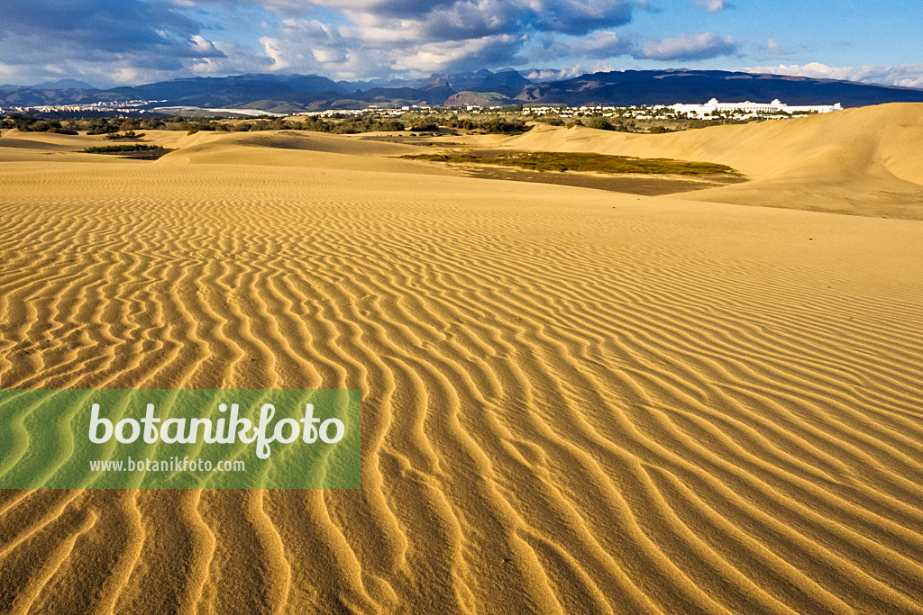 397044 - Dunes mouvantes, Maspalomas, Gran Canaria, Espagne