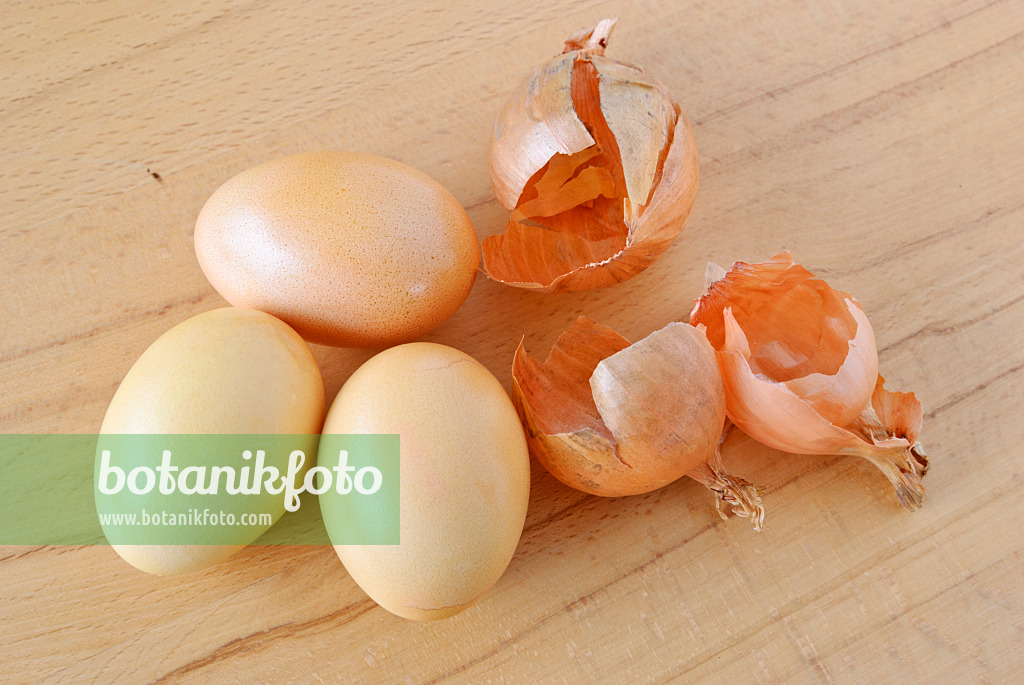 479062 - Easter eggs coloured with onion skins