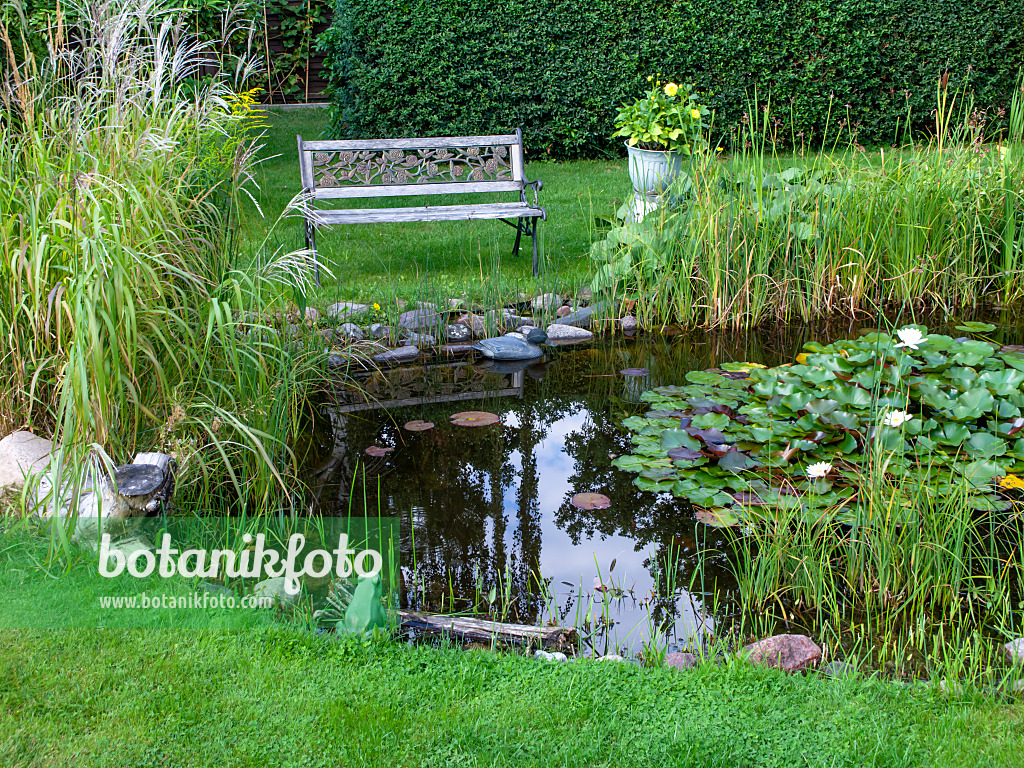 463142 - Étang de jardin avec un banc