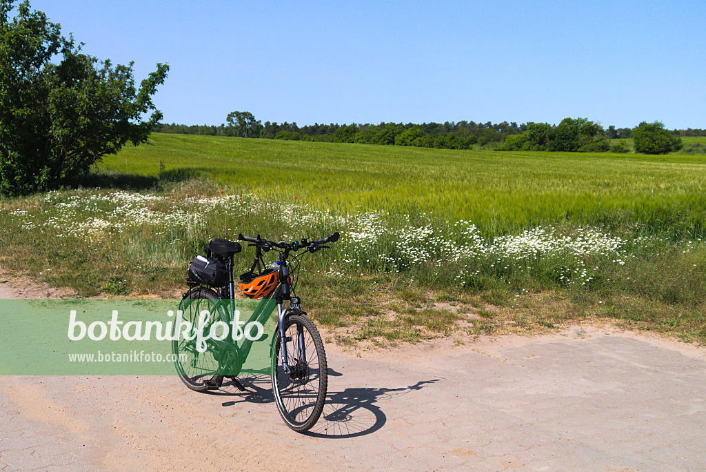 671005 - Fahrrad am Feldrand