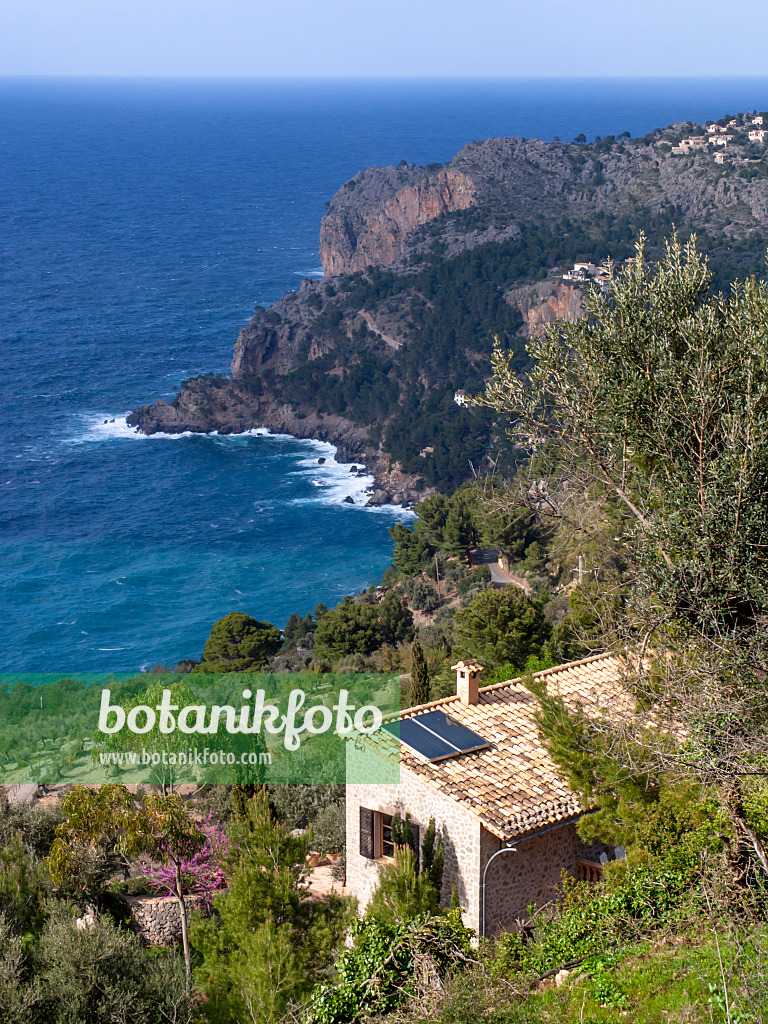 424111 - Falaises, Majorque, Espagne