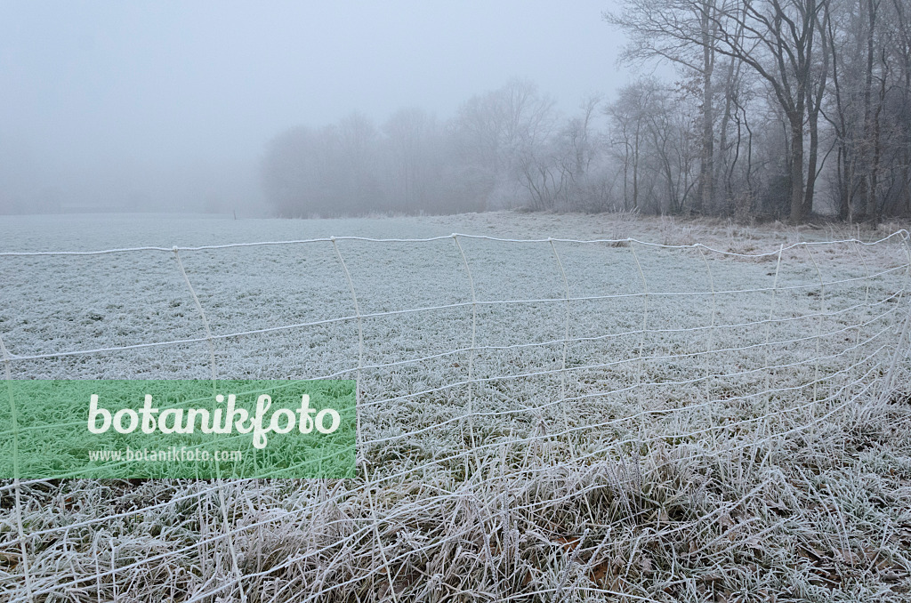 563019 - Fenced field with hoar frost