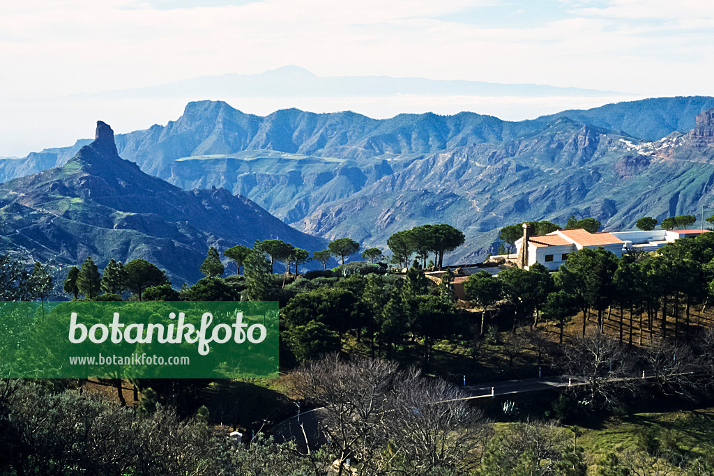 397124 - Finca à Roque Bentaiga (1415 m), Gran Canaria, Spanien