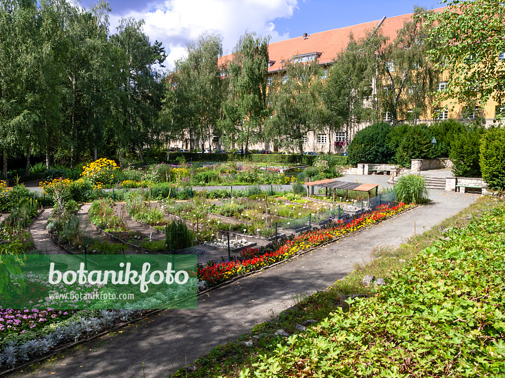 463141 - Flowering school garden in sunny weather at Brixplatz, Berlin, Germany