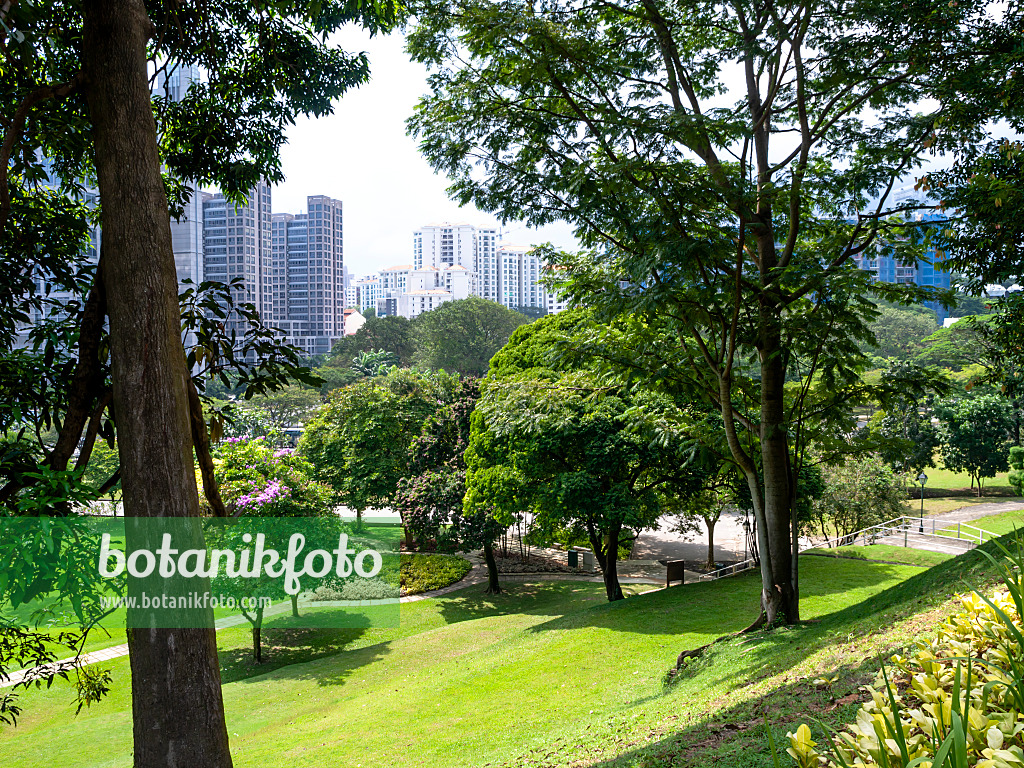 434160 - Fort Canning Park, Singapur