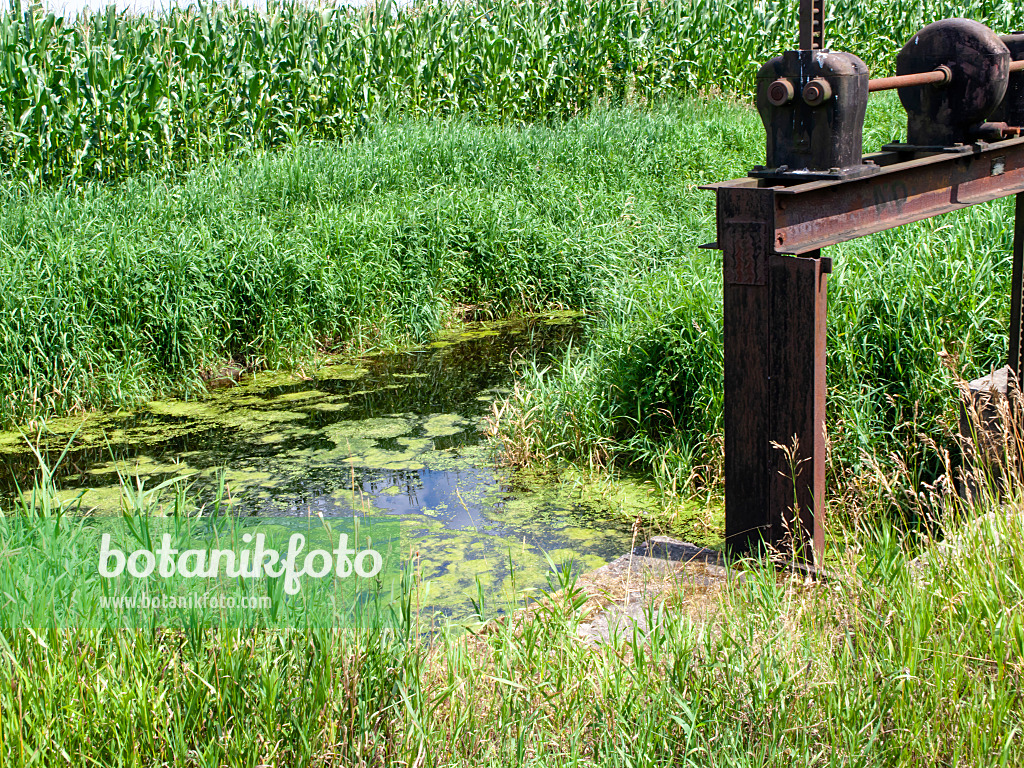 474279 - Fossé de drainage avec un déversoir