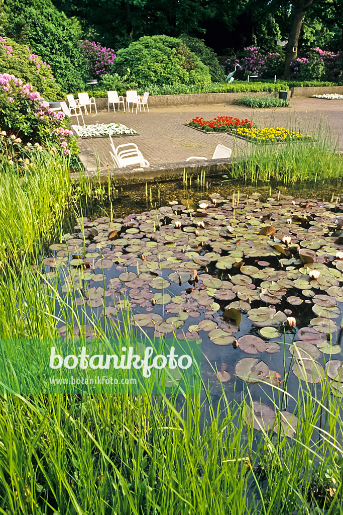 379010 - Fountain garden, Stadtpark, Hanover, Germany