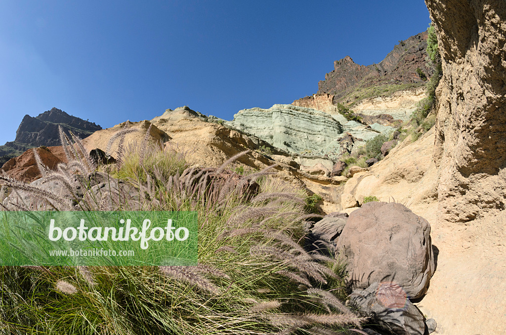 564084 - Fuente de los Azulejos, Gran Canaria, Spain