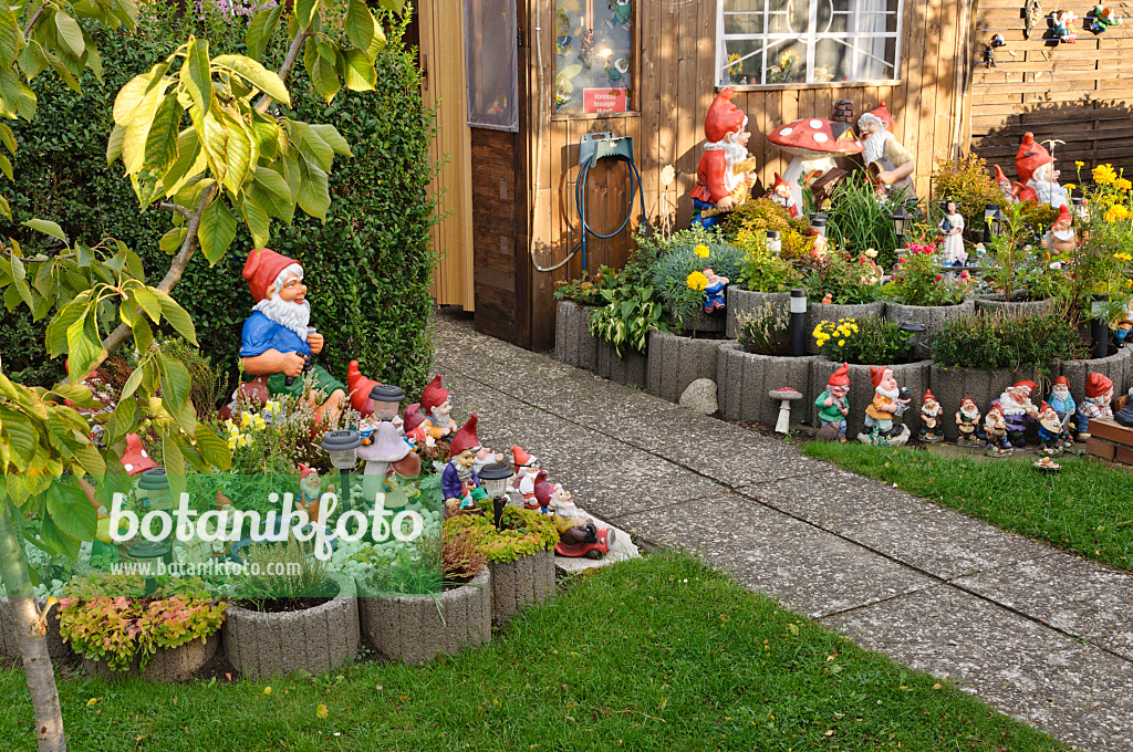 477005 - Garden gnomes in different sizes between a slab path and in front of an arbour in the allotment garden