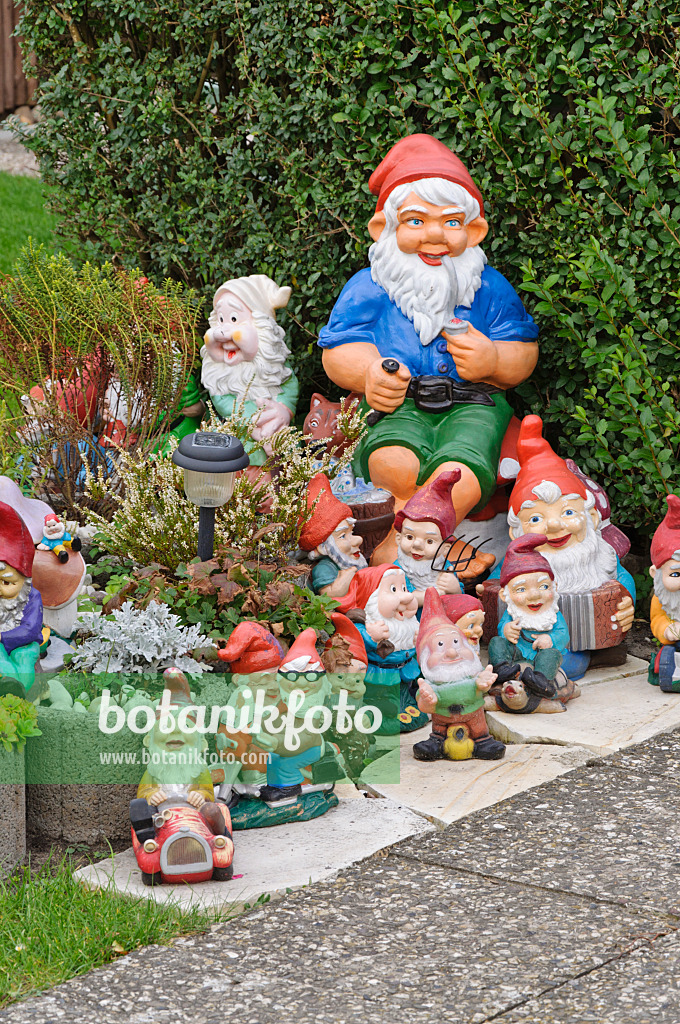 477004 - Garden gnomes in different sizes on a terrace in front of a hedge