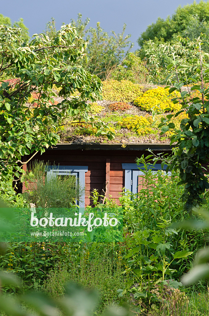 473295 - Garden house with green roof in a natural garden