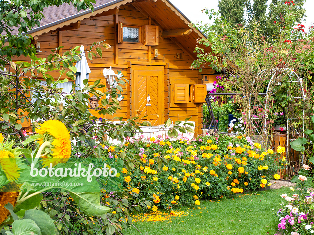476183 - Garden house with summer flowers