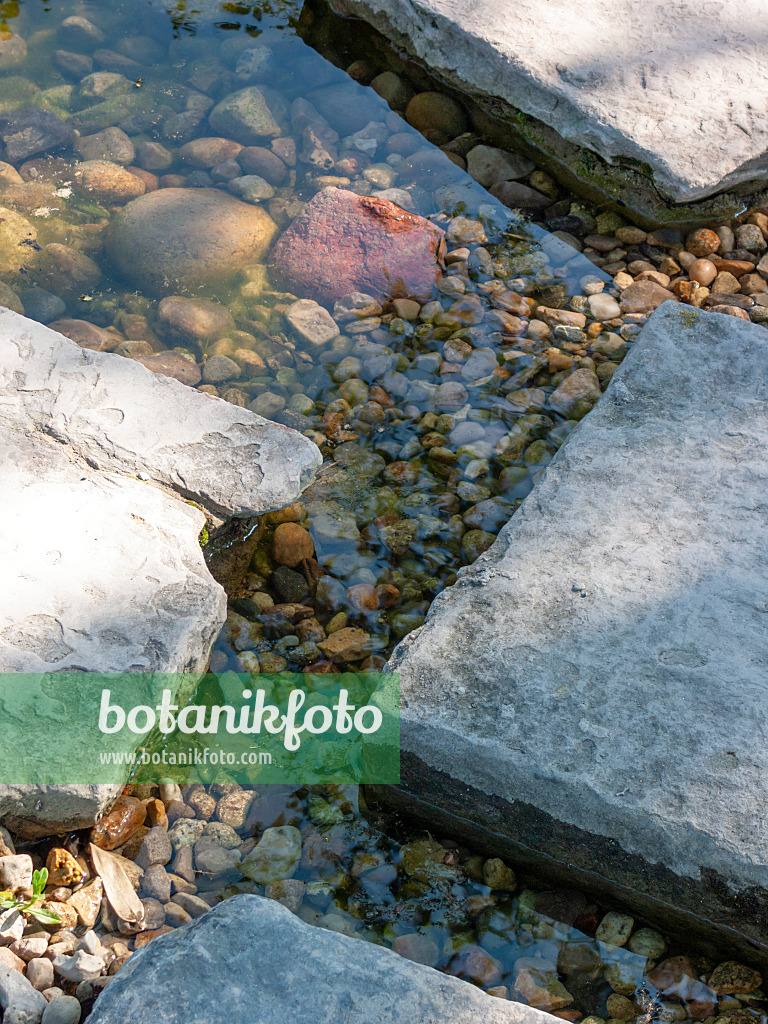 416044 - Garden path made of stone slabs and reflections in wet gravel bed